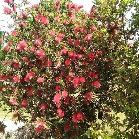 Villa Serenity A Luxury Relaxing Retreat With Swimming Pool In Kymi Euboea Paralia Kimis