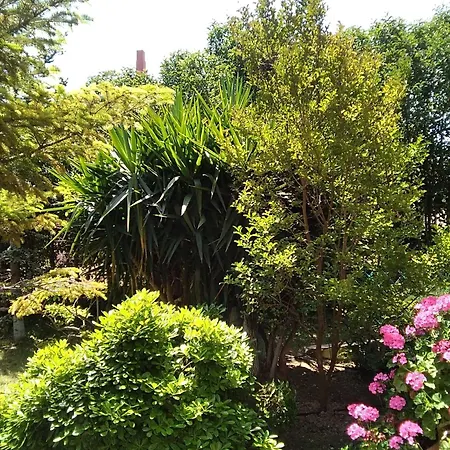 Serenity House Of An Elegant, Immaculate, Luxury Environment Villa Paralia Kimis