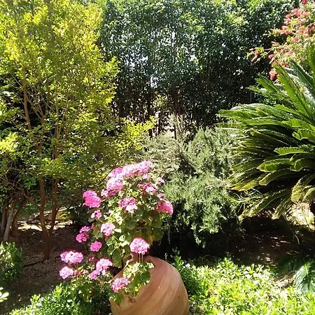 Villa Serenity A Luxury Relaxing Retreat With Swimming Pool In Kymi Euboea