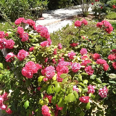 Villa Serenity A Luxury Relaxing Retreat With Swimming Pool In Kymi Euboea